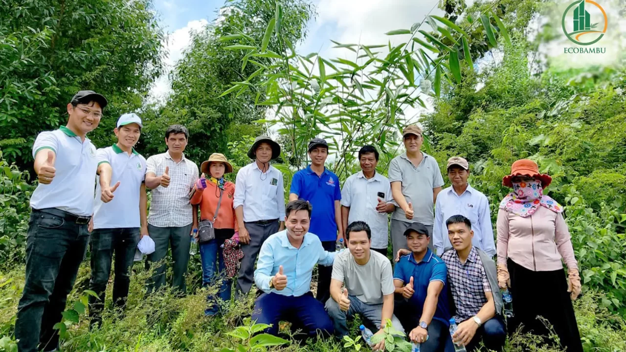 Thăm quan rừng tre của EcoBambu