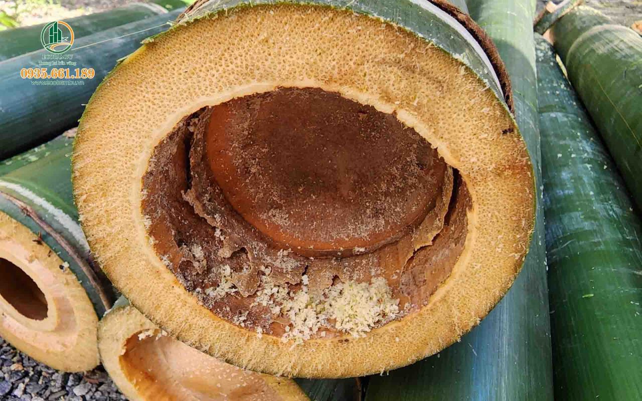 Gậy tre lồ ô tại Quảng Ngãi – Hotline: 0918.664.966 - EcoBambu